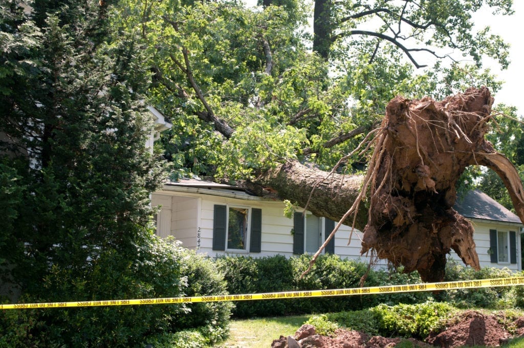 the-most-common-types-of-property-damage-floridians-should-watch-for